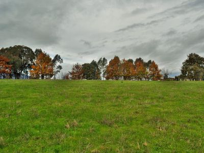 Lot 2 - Osbornes Flat Road, Yackandandah