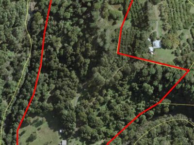 284 BURGUM ROAD, North Maleny