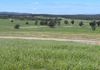 117 HILLSIDE LANE, Daroobalgie