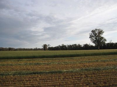 Tocumwal