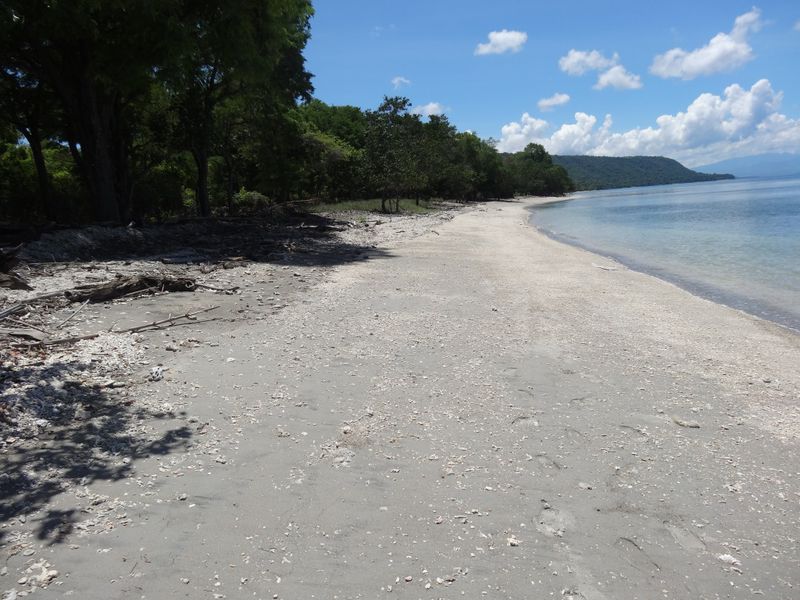 4 Lots / Beachfront Land, West Moyo Island, Sumbawa Regency, West Nusa Tenggara, Indonesia, International