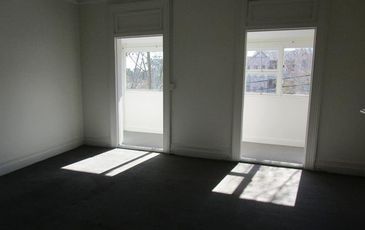 3 / 127 Alison Rd, Randwick