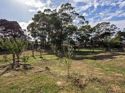 211 Back Line Road, Forest