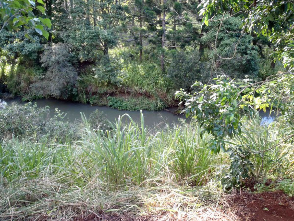 Atherton