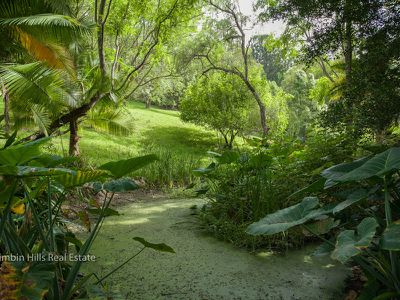 336 Stony Chute Road, Nimbin