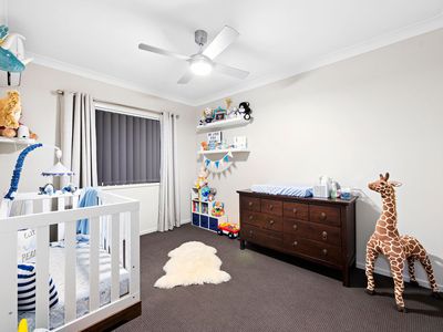 16 Butcher Bird Circuit, Upper Coomera