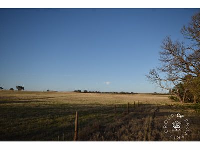 Angas Valley