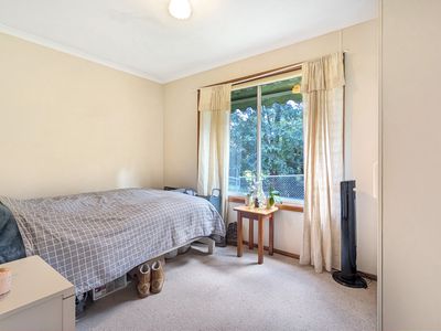16 Bodalla Park Drive, Bodalla