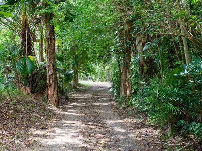 280 McKinnon Drive, Cooroibah