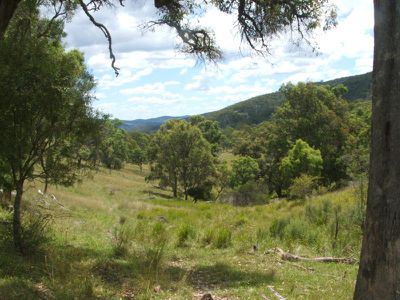 Torrington Road, Emmaville