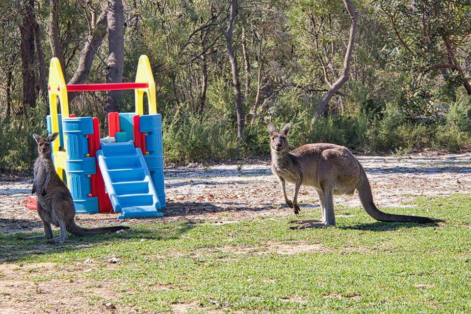 50 Tuart Close , Stake Hill