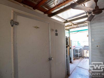 1043 Wallangra Road, Wallangra