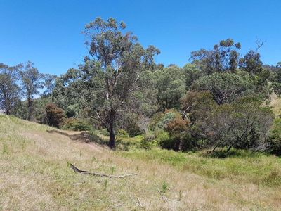 . Bullhead Road, Mitta Mitta