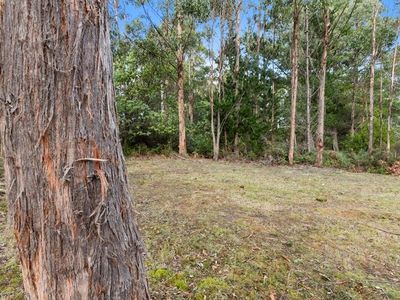 7493 Huon Highway, Strathblane