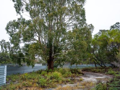 202-238 Flacks Road, Coles Bay