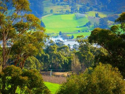 30 Acres Off Abbots Road, Nicholls Rivulet