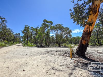 Lot 104, 1768 Silent Grove Road, Silent Grove