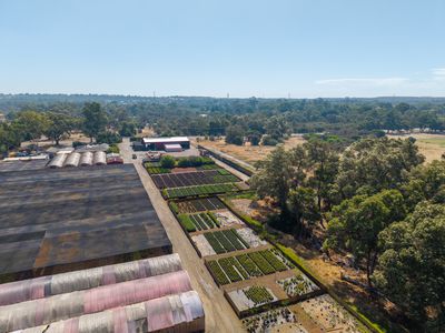 37 Landgren Road, Casuarina