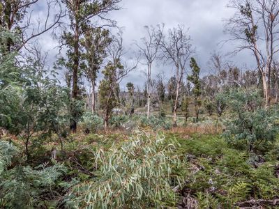 Lot 1 Dawson Road, Ouse