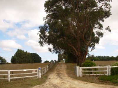 Lot 91 Buchanan Road, Mil-lel