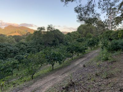 240 Crabbes Creek Road, Crabbes Creek