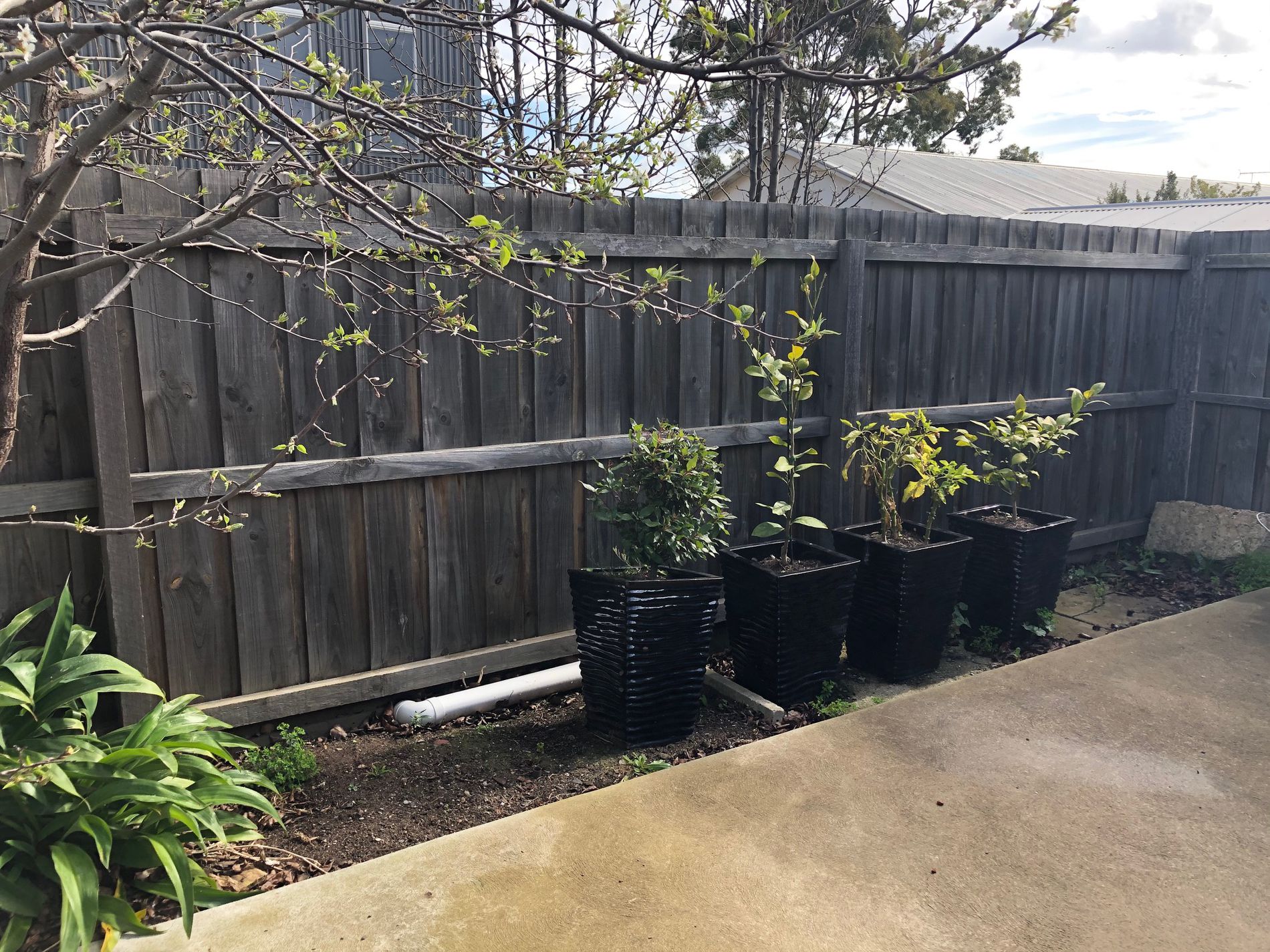 172B Ormond Road, Thomson