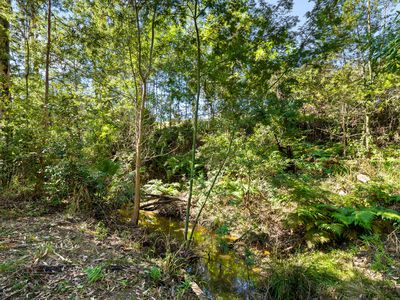 Lot 19, Worthy Drive, Malua Bay