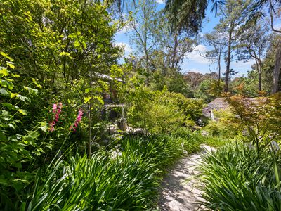 52 Wilpena Terrace, Aldgate