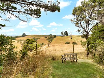 236 Kiwitahi Road, Helensville