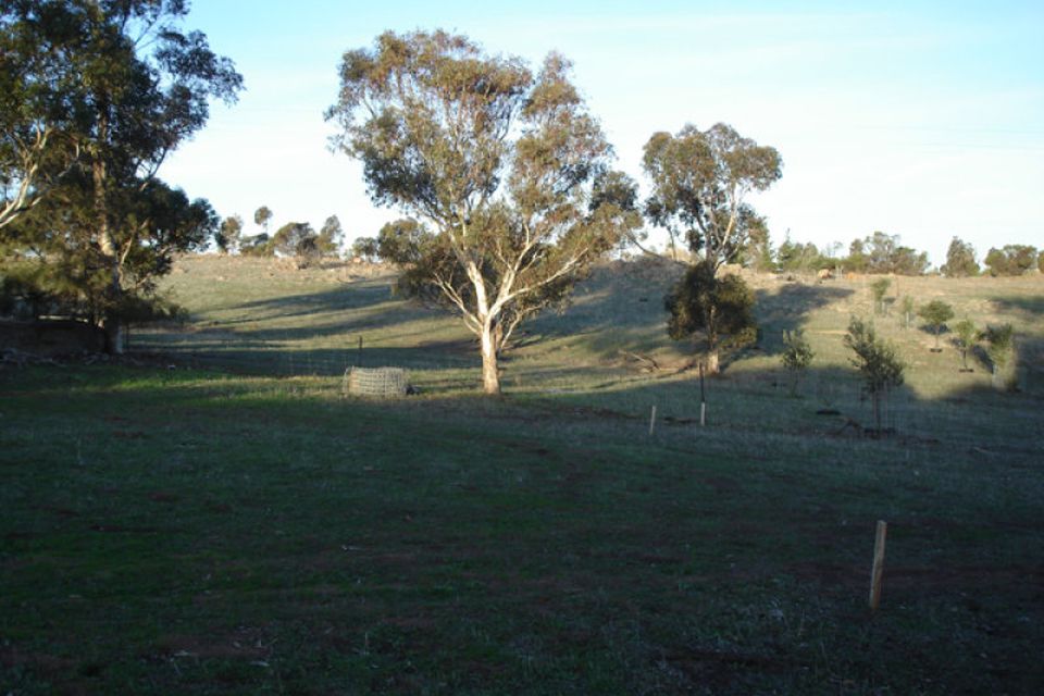 Palmer CE Property Group