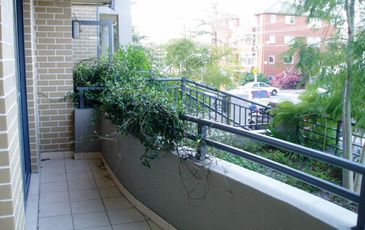 2 / 44 Cowper  St, Randwick