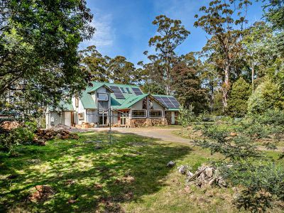 699 Tobys Hill  Road, Cygnet