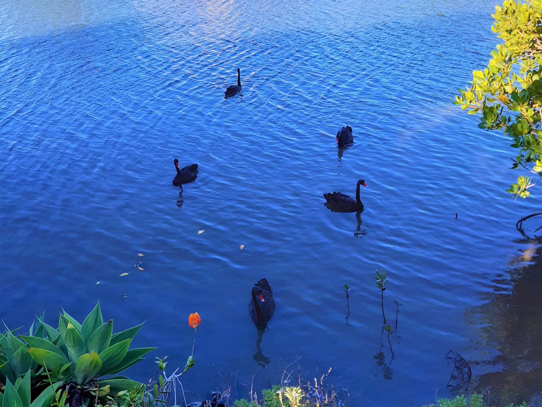 22 / 83 Gollan Drive, Tweed Heads West