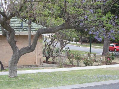41 Alston Avenue, Como