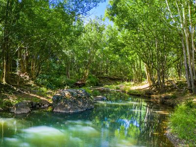 154  Tuntable Creek Road, The Channon