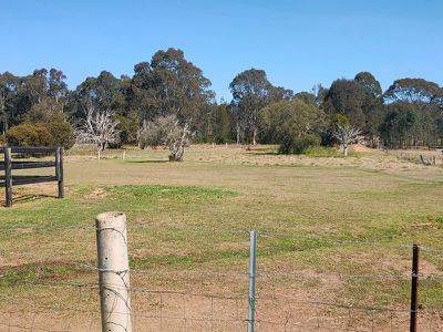 115 Deepfields Road, Catherine Field