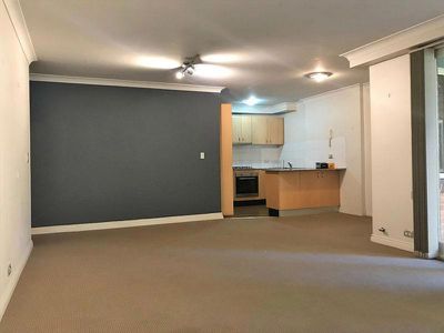 1 / 161 Todman Avenue, Kensington