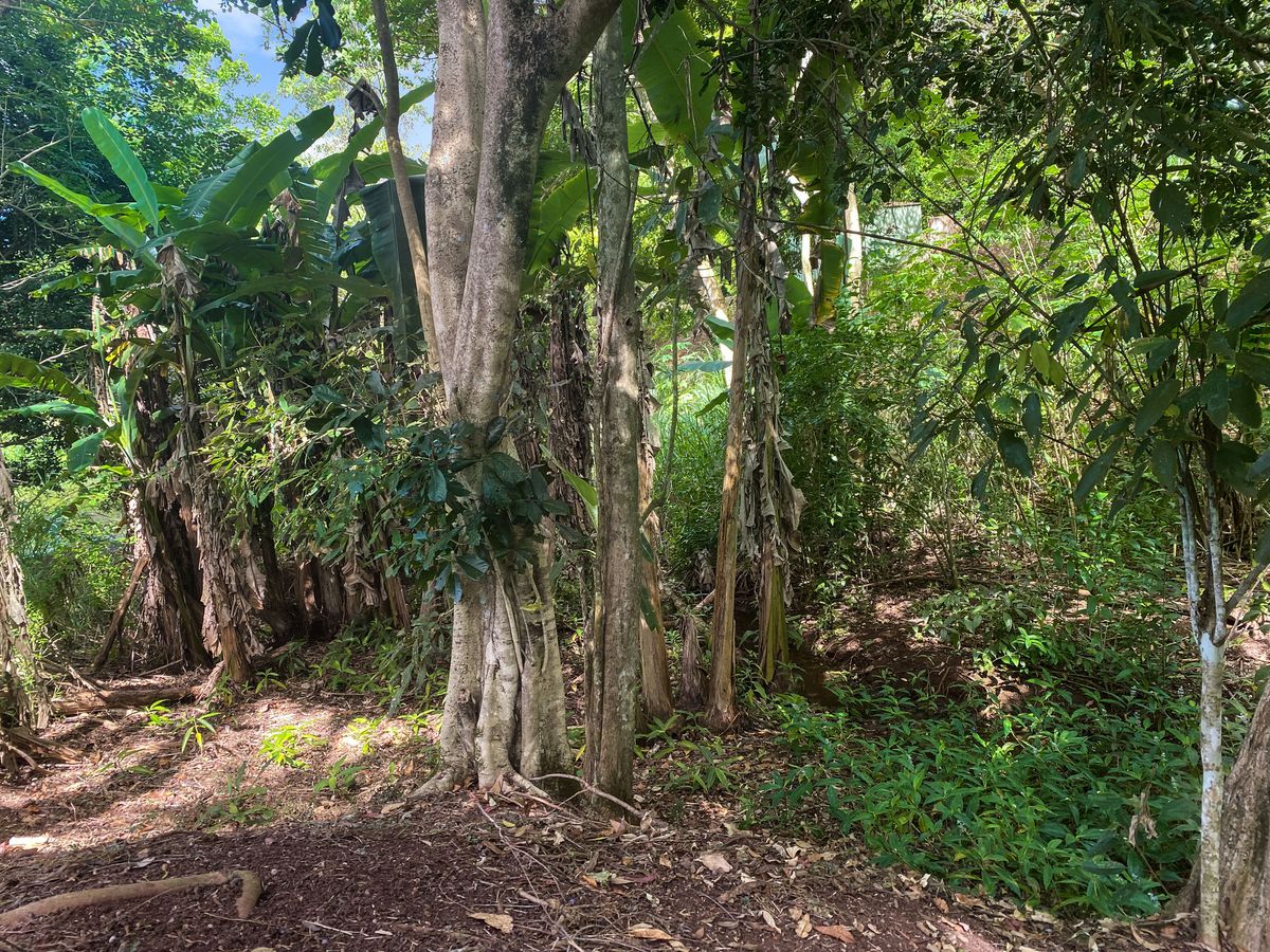 13 Panoramic Drive, Atherton