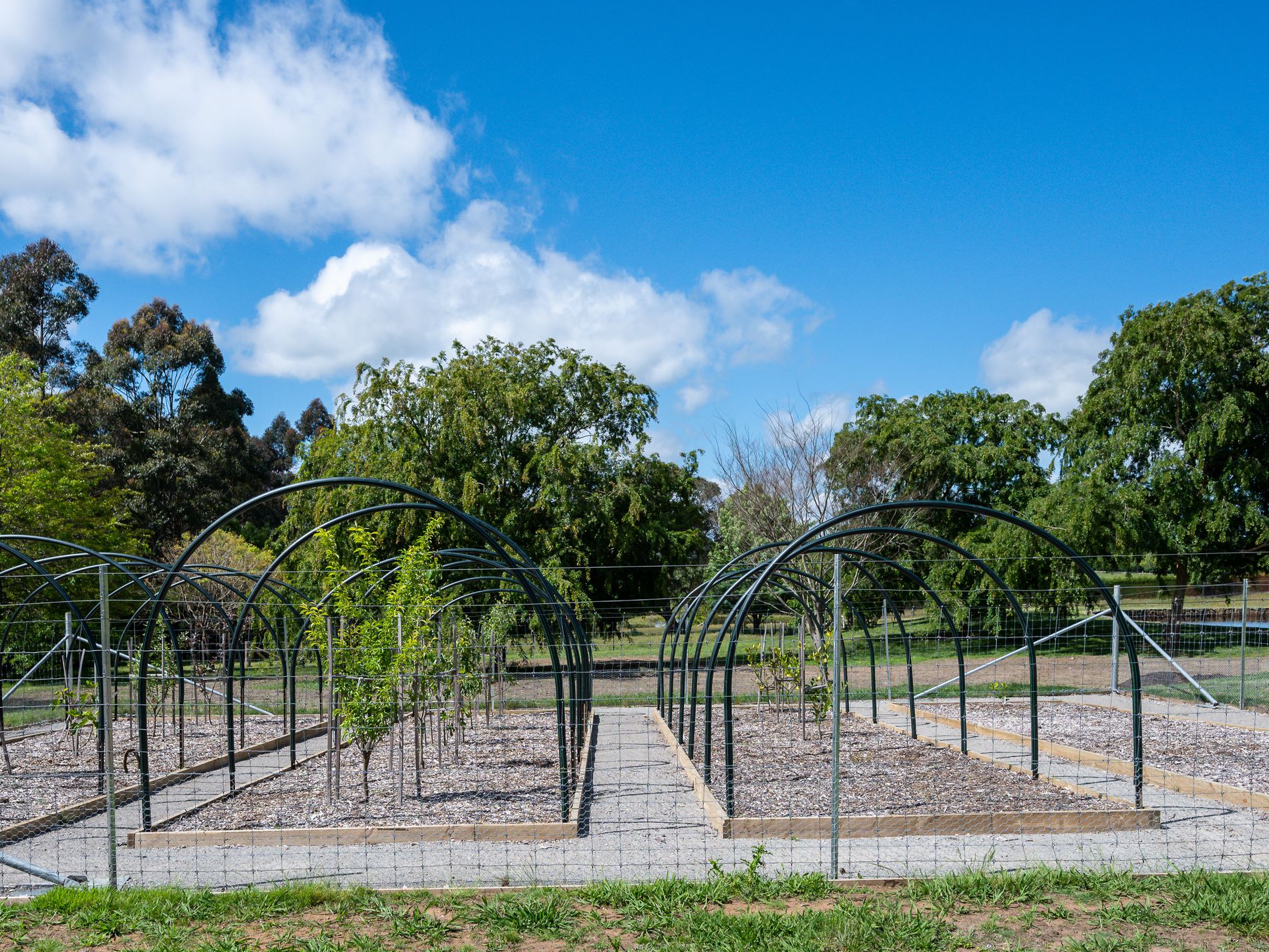 Berrima