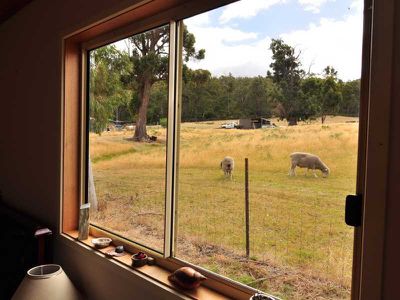 377 Abels Bay Road, Abels Bay