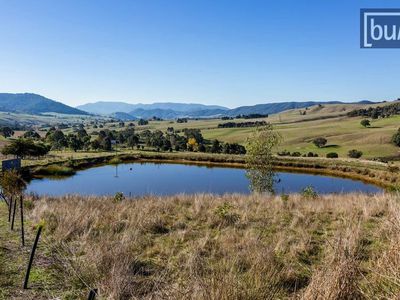 49 Perkins Road, Lucyvale