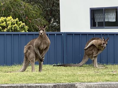 199 Jacobs Drive, Sussex Inlet