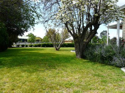 Tocumwal