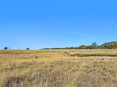 Lot 12Z, 1220 Heathcote-Redesdale Road, Heathcote