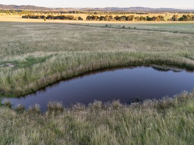 29 Mathews Lane, Bungendore