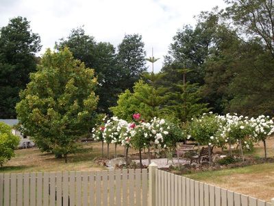 19 Benders Road, Huonville
