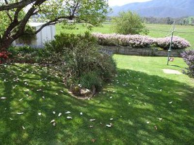 43 Valley Avenue, Mount Beauty