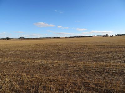 10352 / Cunderdin-Quairading Road, Cunderdin