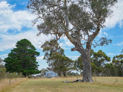 Glenelg Highway, Bochara