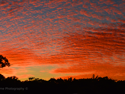 Nambour